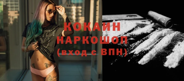 тгк Алексин