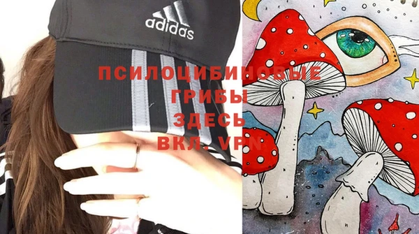 герыч Алексеевка